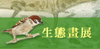 ͺAei
