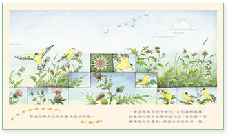 image-2