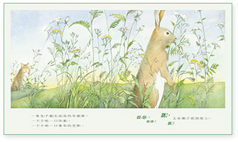 image-3