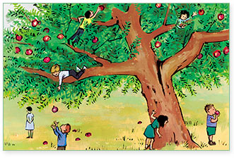 image-5