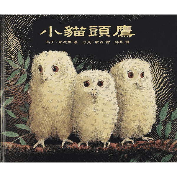 小貓頭鷹