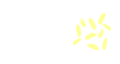 味 副食